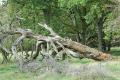 bd_DSC00205 (2)